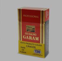 Gudang Garam Profess Cravo c/20