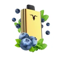 Ignite V120 Pro Gold 12000 Puffs Blueberry Mint