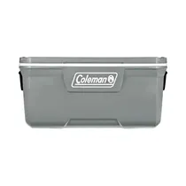 Conservadora Coleman 3000006569 113L Gris
