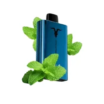 Ignite V120 Pro Blue 12000 Puffs Menthol