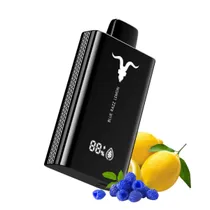 Ignite V120 Pro Black 12000 Puffs Blue Razz Lemon