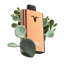 Ignite V120 Pro Rose 12000 Puffs Cactus