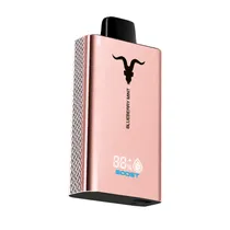 Vaper Descartável Ignite V120 Pro Rose Blueberry Mint