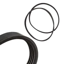 Eat TT Fortissimo Drive Belt Set com 2 Unidade