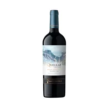 Vinho Tinto Ventisquero Queulat Carménère 750ML