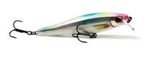 Rapala Pesca Accesorios BX Minnow BXM-10 Plastico 10 CM FCD