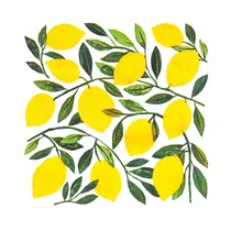Servilletas de Papel PPD Tracey´s Citronella 133002563 33 X 33 CM 20 Unidades