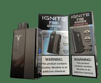 Pod Descartavel Ignite P100 Kit Metalic Gray - Menthol