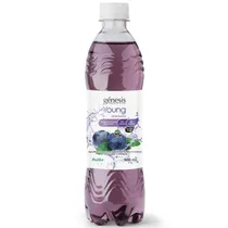 Frutika Agua Genesis Arandanos 500ML