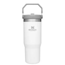 Vaso Stanley Iceflow Polar