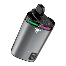 Wintergreen/Grape - 20K - Black Sheep - Pod Descatável