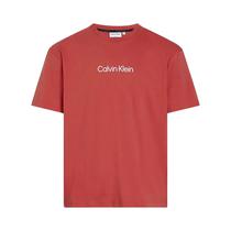 Camiseta Calvin Klein K10K111346 Xae