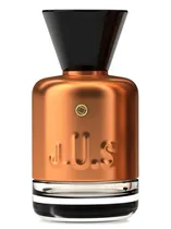 J.U.s Perfume France Spritzlove Parfum 100ML