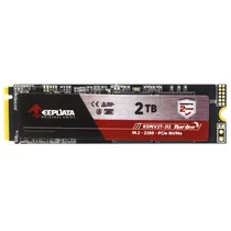 SSD M.2 Keepdata KDNV2T-J12 de 2TB Até 2400MB/s de Leitura - Preto