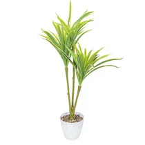 Planta Artificial Tipo Dracena Ou Iúca Verde Em Vaso Branco