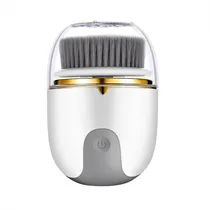 Mini Limpador Facial Eletrico DS8823 FB3