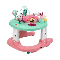 Andador Tiny Love WAO77FJJ