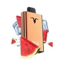 Ignite V120 Pro Rose 12000 Puffs Watermelon Ice