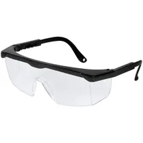 Óculos de Proteção Ingco HSG04