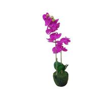 Deco Orquidea Fucsia En Maceta