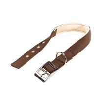 Collar para Perro Ferplast Daytona 25/45 Marron Beige