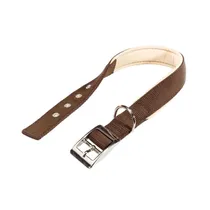 Collar para Perro Ferplast Daytona 25/45 Marrón Beige