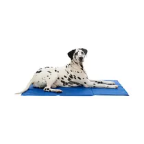Alfombra Refrescante para Mascotas Pawise 12203 M 65X50CM Azul