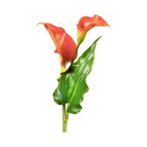 Flor Artificial Regency MTF21829 Calla Lily Naranja