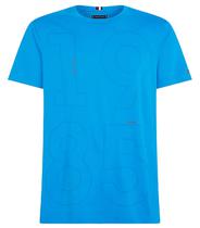 Camiseta Tommy Hilfiger MW0MW32615 Czu - Masculina