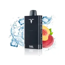 Vape Descartável Ignite V150 Pro 15000 Puffs Con 5% Nicotina - Peach Ice