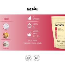 Sensus Inblonde Easy Lights Deco 450G