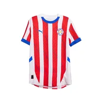Remera Puma 773407AV01 Oficial Paraguay Apf