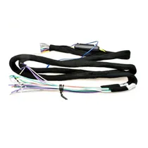 Nakamichi Cable DSP Universal
