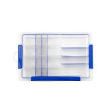 Marine Pesca Accesorios MS315 Plastico Compartimento: 20 Divisiones Transparente+Azul