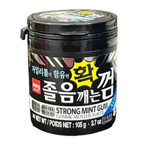 Chicletes Sem Açucar Wang Menta Forte Pote 105G