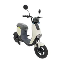 Moto Elétrica Argos 01 500W 35KM/H 300KGS