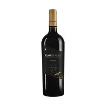 Kinast Vino Paso D'Andes Carmener 750ML