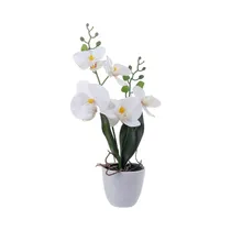 Planta Artificial En Maceta Concepts 592-142402 43 CM