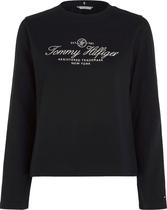 Camiseta Tommy Hilfiger WW0WW40292 DW5 - Feminina