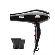 Secador de Pelo DSP Profesional 1000W