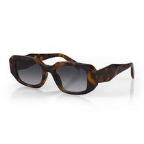 Oculos de Sol Feminino Daniel Klein DK4319-2 / Estilo Retangular - Animal Print