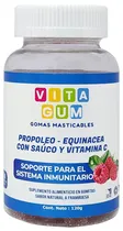 Vita Gum Propoleo e Equinacea - 120G (60 Gummies)
