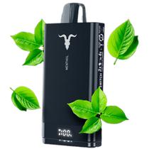 Vaper Ignite V150 15000 Puff Menthol