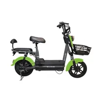 Moto Electrica Luxor OFY-XWZ01 Verde