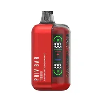 Pod Descartavel Smok Spaceman 15000 Puff - Raspberry Pomegranate