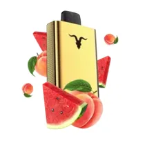 Ignite V120 Pro Gold 12000 Puffs Watermelon Peach