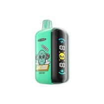 Vaper Descartavel Elfbar GH 23000 Miami Mint