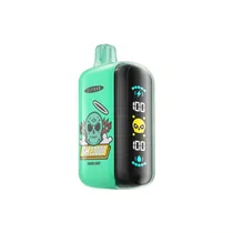 Vaper Descartável Elfbar GH 23000 Miami Mint