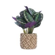 Planta Artificial En Maceta Concepts 592-143172 37 CM