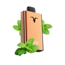 Ignite V120 Pro Rose 12000 Puffs Menthol